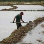 Bursa'da &ccedil;ift&ccedil;ilerin zorlu mesaisi başladı