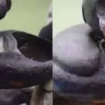 Endonezya'daki taş tencereler ilgi odağı oldu!