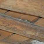 Evlerini yılanlar bastı! Korkudan uyuyamıyorlar...	