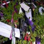 Hıdırellez Bayramı nedir neden kutlanır? Hıdırellez günü nasıl dilek dilenir?