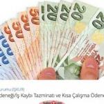 Kısa Çalışma Ödeneği parası yatmayanlar ne yapacak? e-Devlet maaş sorgulama...