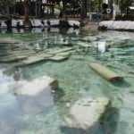 Pamukkale'deki 2 bin 500 yıllık antik havuz ve çevresi boş kaldı