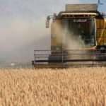 Tarım Kredi yem üretim kapasitesini artırıyor