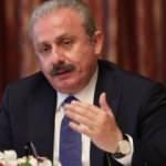 TBMM Başkanı Şentop'tan 'Anneler Günü' mesajı