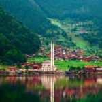 Turizm merkezi Uzungöl yaban hayvanlarına kaldı