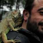 Yanından hiç ayırmadığı iguana, en yakın arkadaşı oldu