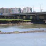 &Ccedil;amura saplanan gencin acı &ouml;l&uuml;m&uuml;