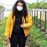 Engelli genç kız İŞKUR’un desteğiyle çilek yetiştiriciliği yapıyor