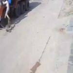 Hindistan’da leopar saldırısından son anda kurtuldu