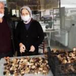 Kurutulmuş kuzugöbeği mantarı 800 liraya satılıyor
