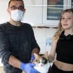 Kedinin midesinden yüzük çıktı