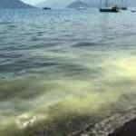 Marmaris'te denizde şoke eden görüntü