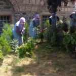 Park ve bahçeler normalleşme sürecine hazır