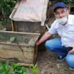Kümesine giren sansarı yakalayıp hesap sordu, sonra doğaya saldı