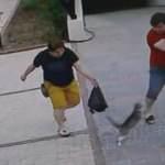 Bir anda ortaya çıktı, köpekli çifte dünyayı dar etti