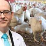 Vir&uuml;s ile ilgili tavuk uyarısı: Eğer bu ger&ccedil;ek olursa d&uuml;nya n&uuml;fusunun yarısı &ouml;l&uuml;r