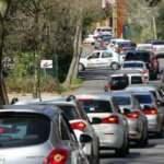 Belgrad Ormanı uzun bir aradan sonra yeniden doldu