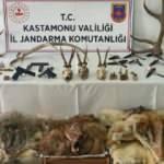 Geyik, karaca, kurt ve boz ayı avladı, bedeli ağır oldu