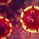 İspanya'da salgında bir ilk yaşandı! 