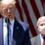 Protestolar nedeniyle Trump'ın otellerinde güvenlik seviyesi üst düzeye çıkarıldı