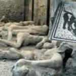 Taşlaşan kent Pompeii'de ilginç keşif: Dikkat köpek var