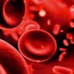 RBC nedir? RBC düşüklüğü ve yüksekliği belirtileri nelerdir?