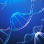 ABD'den çılgın plan! Laboratuvarda üretildi! Ülkeyi saracak