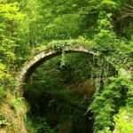 Artvin'de, tarihi kemer köprü keşfedildi
