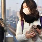 Bilim Kurulu Üyesi Ateş Kara: İkinci dalga çok yıkıcı olur