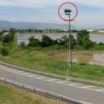 Bu leyleklerin fotoğrafını çekmek için araçlarını durduruyorlar