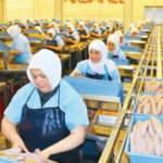 Dardanel yeni döneme hazır: Kapasite yüzde elli, istihdam yüzde otuz arttı