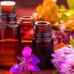 Evdeki böceklerden kurtulmanın yolları | Doğal böcek ilacı nasıl yapılır: İmdadınıza yetişecek!