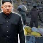 Kim Jong-un'un tuhaf taktiği: Kuzey Kore çuval çuval satıp milyonlar kazanıyor