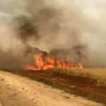 PKK/YPG, Suriye'nin kuzeyinde tarlaları ateşe vererek sivillere saldırıyor