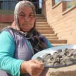 Tarlasından mıknatısla tek tek 45 adet gök taşı topladı