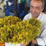 2,5 liradan satılıyor! Büyük ilgi görüyor