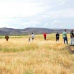 Aslan bulmaya &ccedil;ıktılar, &ccedil;akal ve domuz g&ouml;rd&uuml;ler!