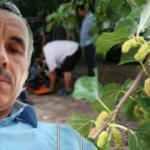 Dut ağacından düştü, hayatını kaybetti