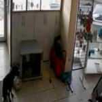 Hırsızlar elektrikçiyi soydu, dükkandaki köpek ise olayı şaşkınlıkla izledi