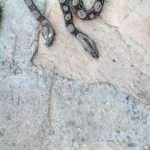 X-ray cihazında g&ouml;r&uuml;nce şaşkına d&ouml;nd&uuml;ler!