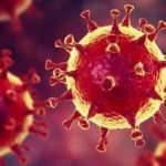 Koronavirüs eksi 20 derecede 20 yıl yaşayabiliyor