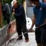 Mahallede yılan seferberliği!