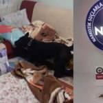 Yalova'da 11 adrese eş zamanlı baskın: 5 tutuklama