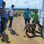 10 yıldır baktığı Kangal k&ouml;peğini, TSK'ya hediye etti