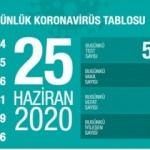 Son dakika haberi: 25 Haziran koronavirüs tablosu! Vaka, ölü sayısı ve son durum açıklandı