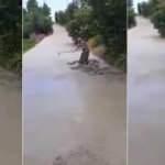 Yola dökülen betonu tahrip eden yaşlı kadına soruşturma