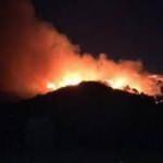 İzmir'de orman yangını