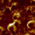 Koronavirüs, Türk bilim insanları tarafından yerli süper mikroskopla görüntülendi