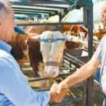 Uzmanlar uyardı: Kurban pazarlığında dikkat