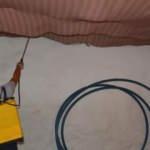 Yılan korkusundan evi boşalttılar, yardım istediler